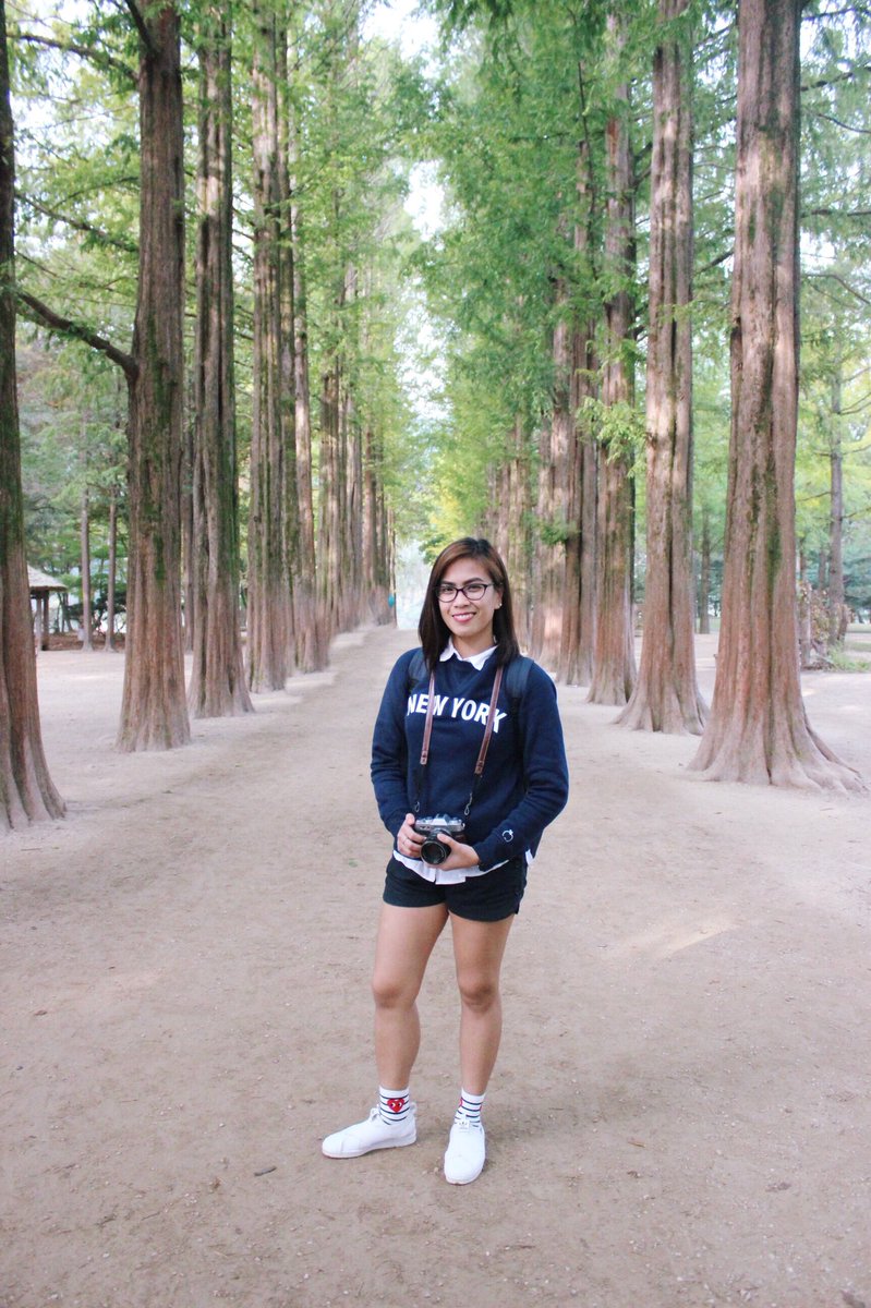 qmrzmgsn's tweet photo. Nami Island #falltone https://t.co/ONi67xwvVd