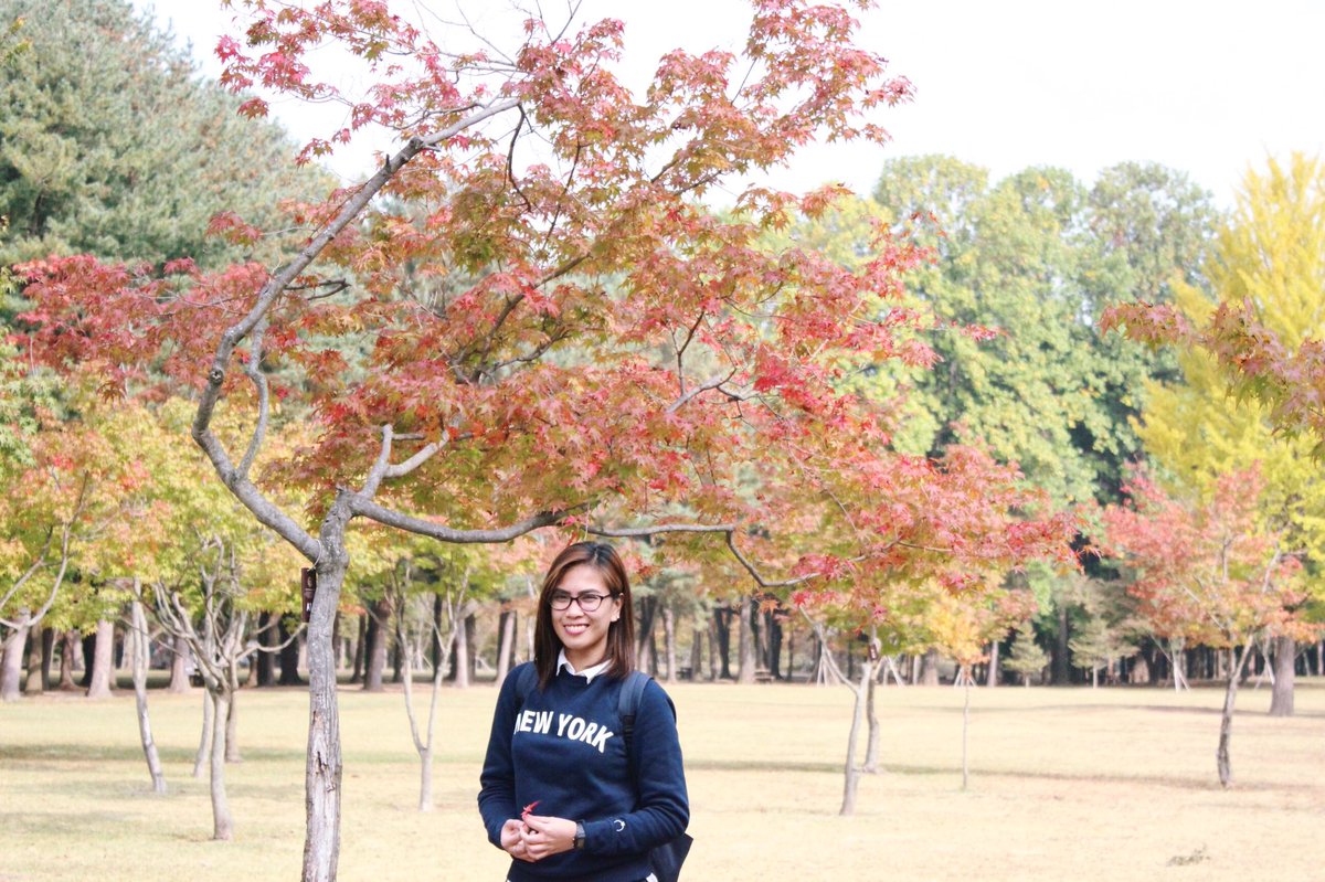 qmrzmgsn's tweet photo. Nami Island #falltone https://t.co/ONi67xwvVd