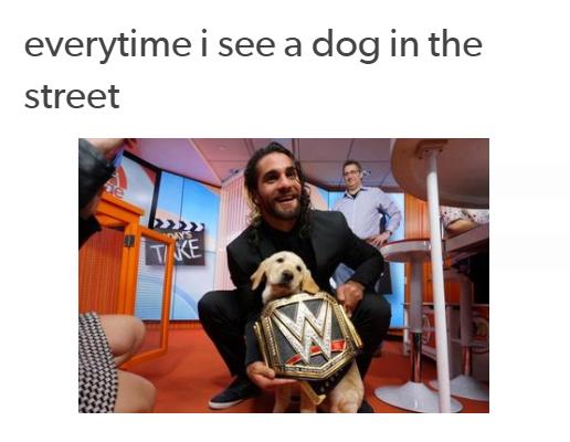 ShitpostBot 5000 tweet media