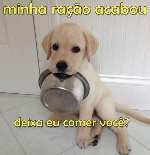 guilhotines's tweet photo. oi bb tô com fome.. https://t.co/yFHyyD0SfJ