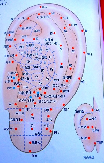 みつき 健康オタク女子 参加してる中医学勉強会では 耳ツボ が流行っていて 前回の勉強会のときに先生がネット通販した耳つぼ シールを分けてもらい 目 のツボ 反射区 に貼ってもらった シール貼ってからほんとに目が疲れない感じ キラキラシールが みつき 健康オタク女子 参加してる中医学勉強会では 耳ツボ が流行っていて 前回の勉強会のときに先生がネット通販した耳つぼ シールを分けてもらい 目 のツボ 反射区 に貼ってもらった シール貼ってからほんとに目が疲れない感じ キラキラシールが