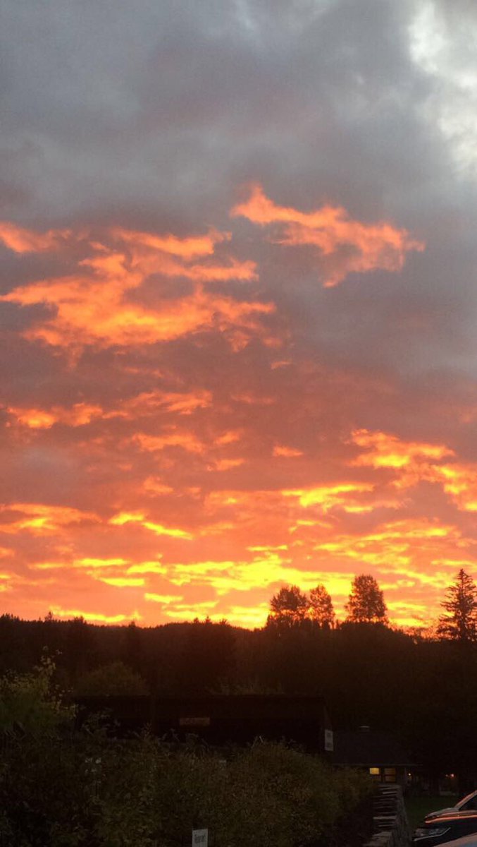 RandiEvjen's tweet photo. Ikke verst å komme ut til dette skuet etter en lang og regnvåt nattevakt!😊 https://t.co/SLkRY6jAIi