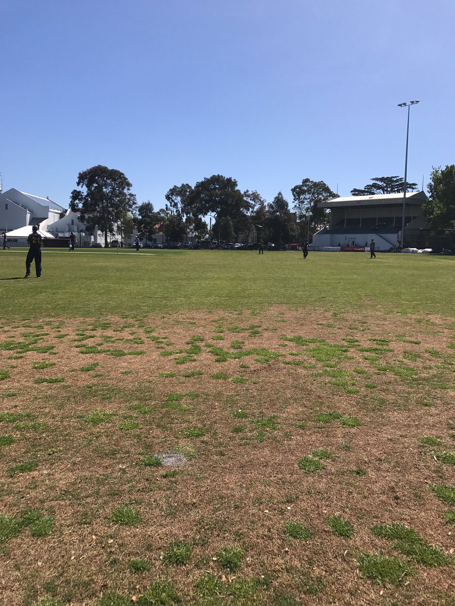 t_considine's tweet photo. Cracking day at Malvern Cricket Club @SubbiesCricket @cricketvictoria https://t.co/ikjsNzuTy8
