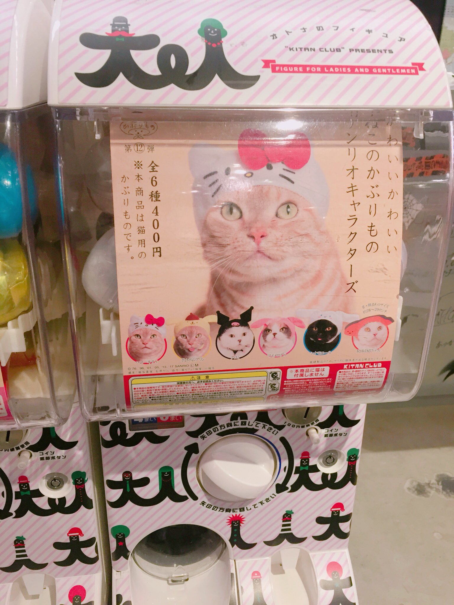 تويتر キタンクラブ公式 على تويتر Rt Spinns Sannomi ねこランド ねこランド設置店舗 先行発売ぃ 大人気ねこのかぶりものから サンリオキャラクターズの かぶりものを昨日より 販売しております サンリオの大人気キャラを 被ったねこちゃん