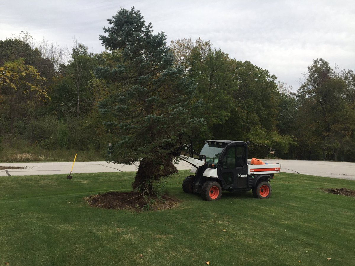WindLandscaping's tweet photo. Let us remove those unsightly blue spruces and replace them with better cultivars. Servicing the fortwayne area. https://t.co/lTowMShJ1e