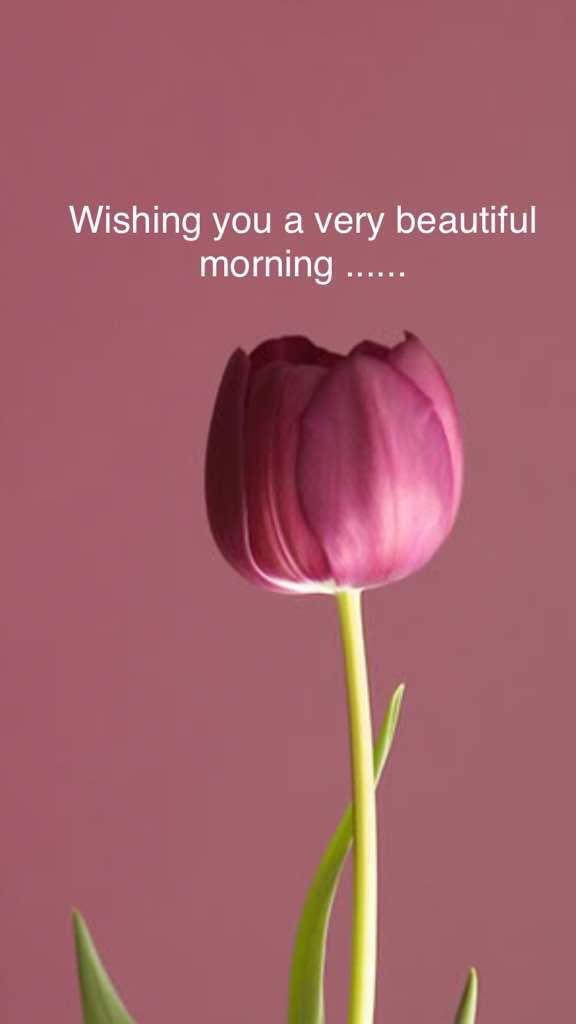 Reenajhalli's tweet photo. @Neelaiah1 @GharwalAnkita @sanayas90601361 @suhani69 @Nikita06135504 @ankimast @ankitarao976 @soniray48 @naughtyishika22  https://t.co/KwaYPxxJlv