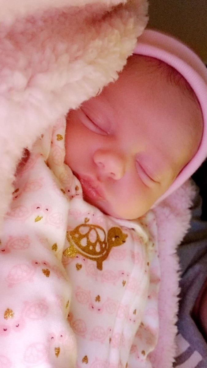madisonkidderr's tweet photo. take a moment to admire how cute my godchild is 😻 https://t.co/yV5hrNLXxN