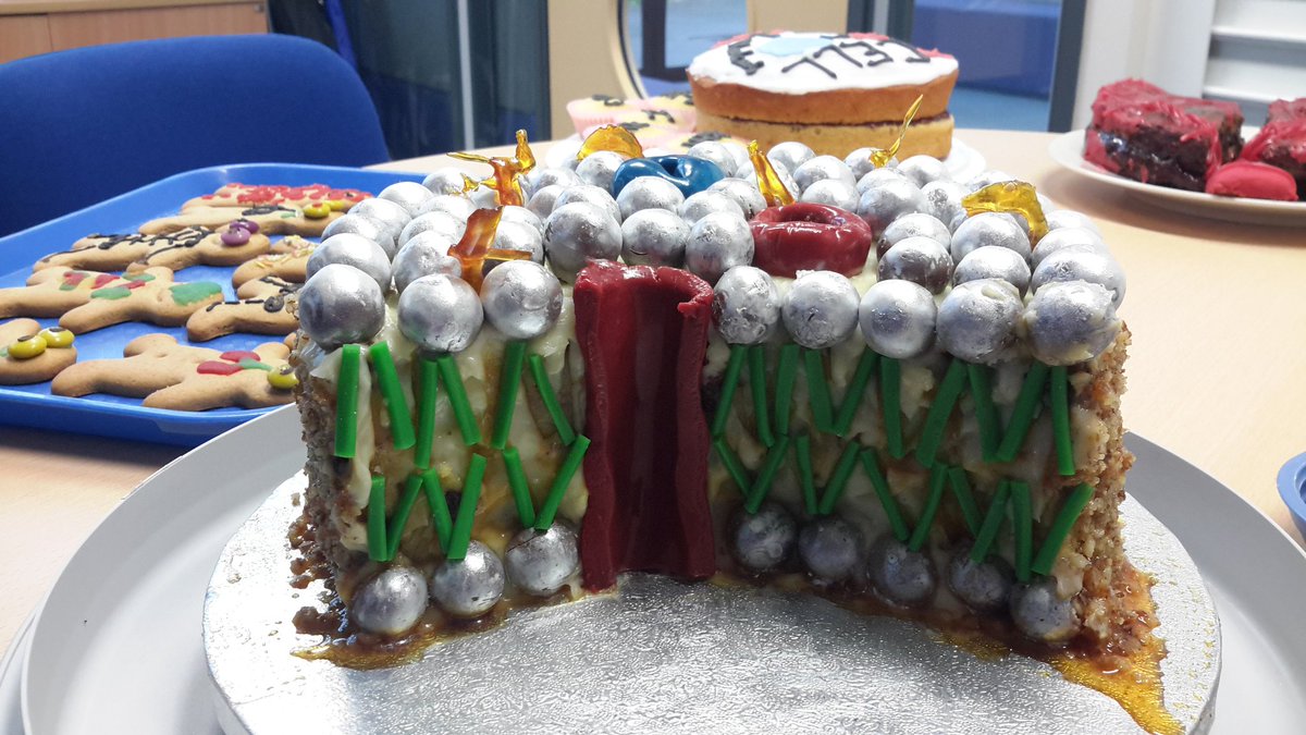 FCoT_science's tweet photo. Congrats to Leah, Reanna and Andrea, winners of the @FCoT_science #biobakeoff. https://t.co/rHgaAVDMPE