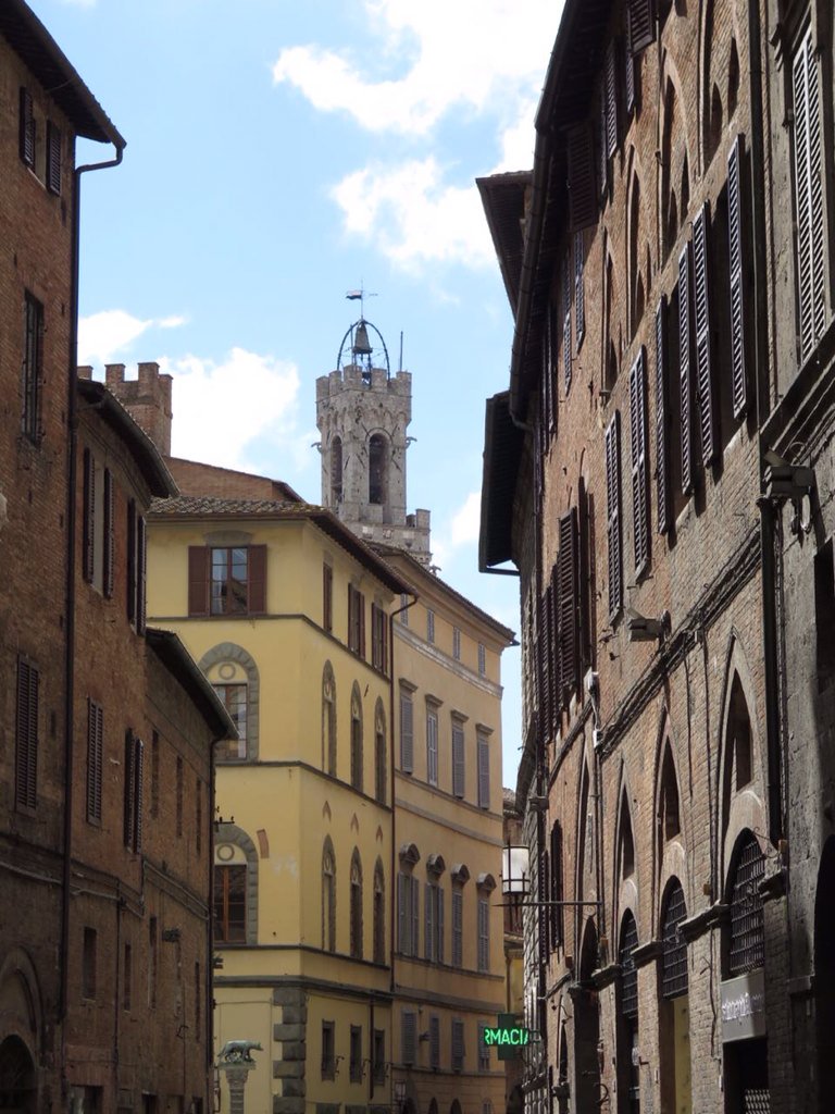 Domani ultimo appuntamento della stagione con #sienafrancigena. Alle 9.30 da Porta Camollia10 tappe a piedi.