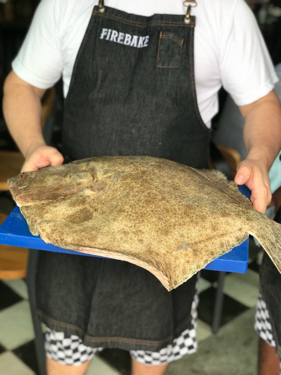 firebakesg's tweet photo. Beautiful 6kg wild Brittany turbot just came in 👌🏼😊 #firebakesg #breadandbeyond #fish #sgfood #sgfoodie #weekendvibes #eastcoastroad https://t.co/5QBPyWGlU9