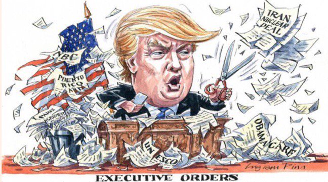 Image result for cartoon president acting on impulse