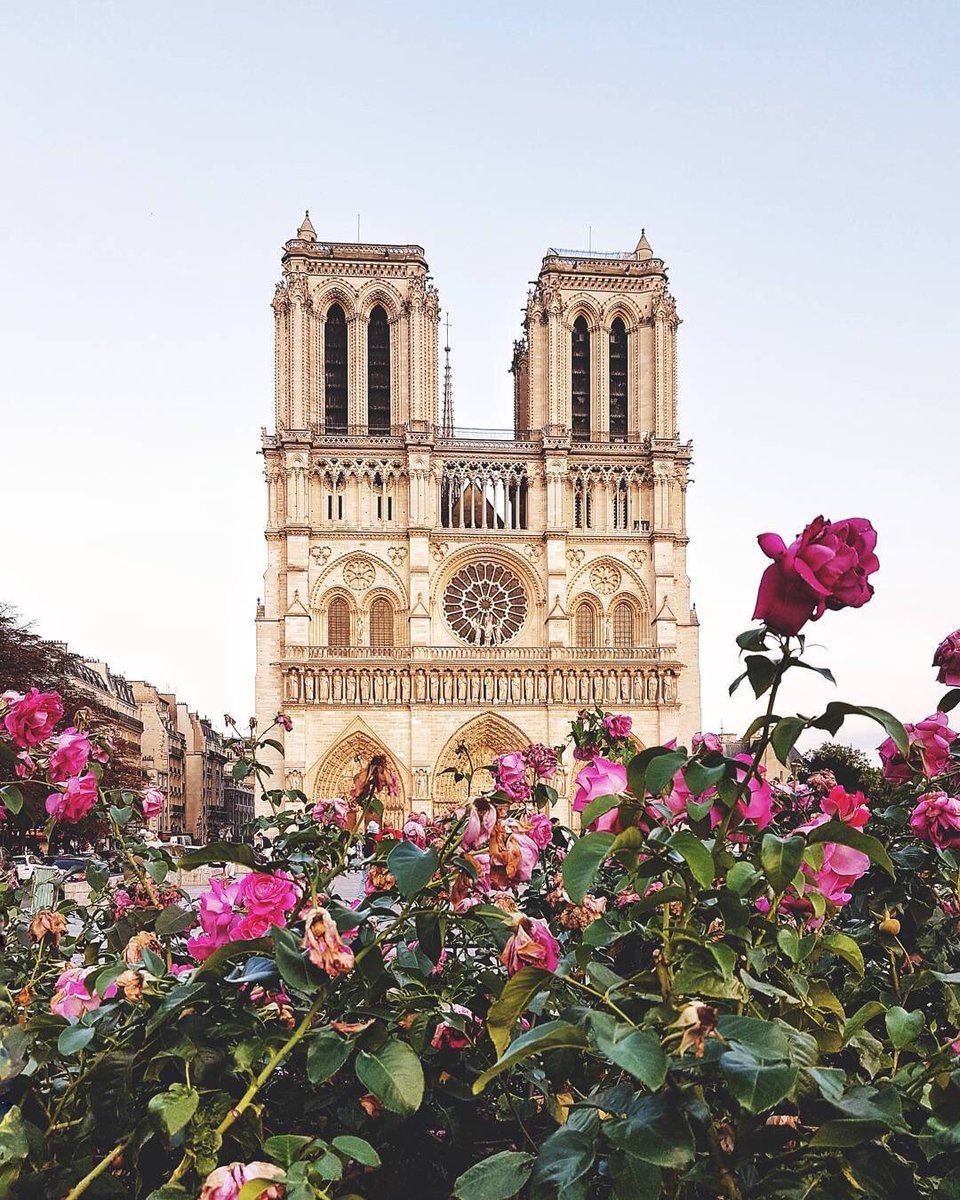 TopParisPhoto's tweet photo. TOP France 📷 par @michelleahunziker • #topfrancephoto #communityfirst #thisisparis #paris #topparisphoto https://t.co/X9XdlxDyrc