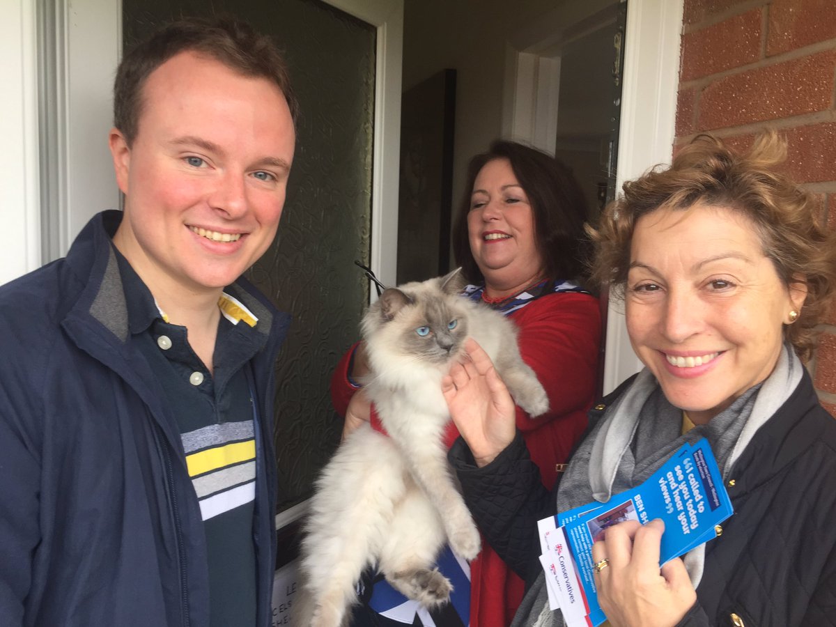 Great response for @benshepherd28 <a href="/TauntonTories/">Taunton & Wellington Conservatives</a> in Wellington today - cat included! <a href="/AroundWelly/">Around Wellington</a> <a href="/WellingtonTC1/">Wellington Town Council</a> By election oct 26