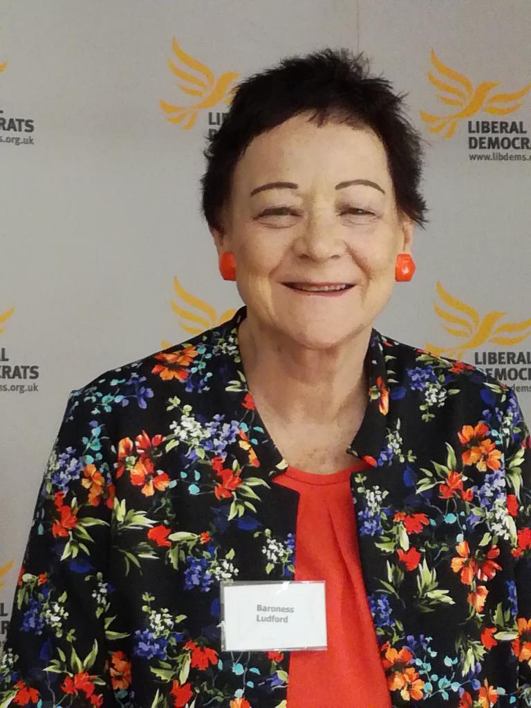 HuwSayer's tweet photo. #LibDemsEast - #EoEConf now hearing from @SarahLudford on work in the @UKHouseofLords and need to improve access to #law. https://t.co/gMTya3hzMs