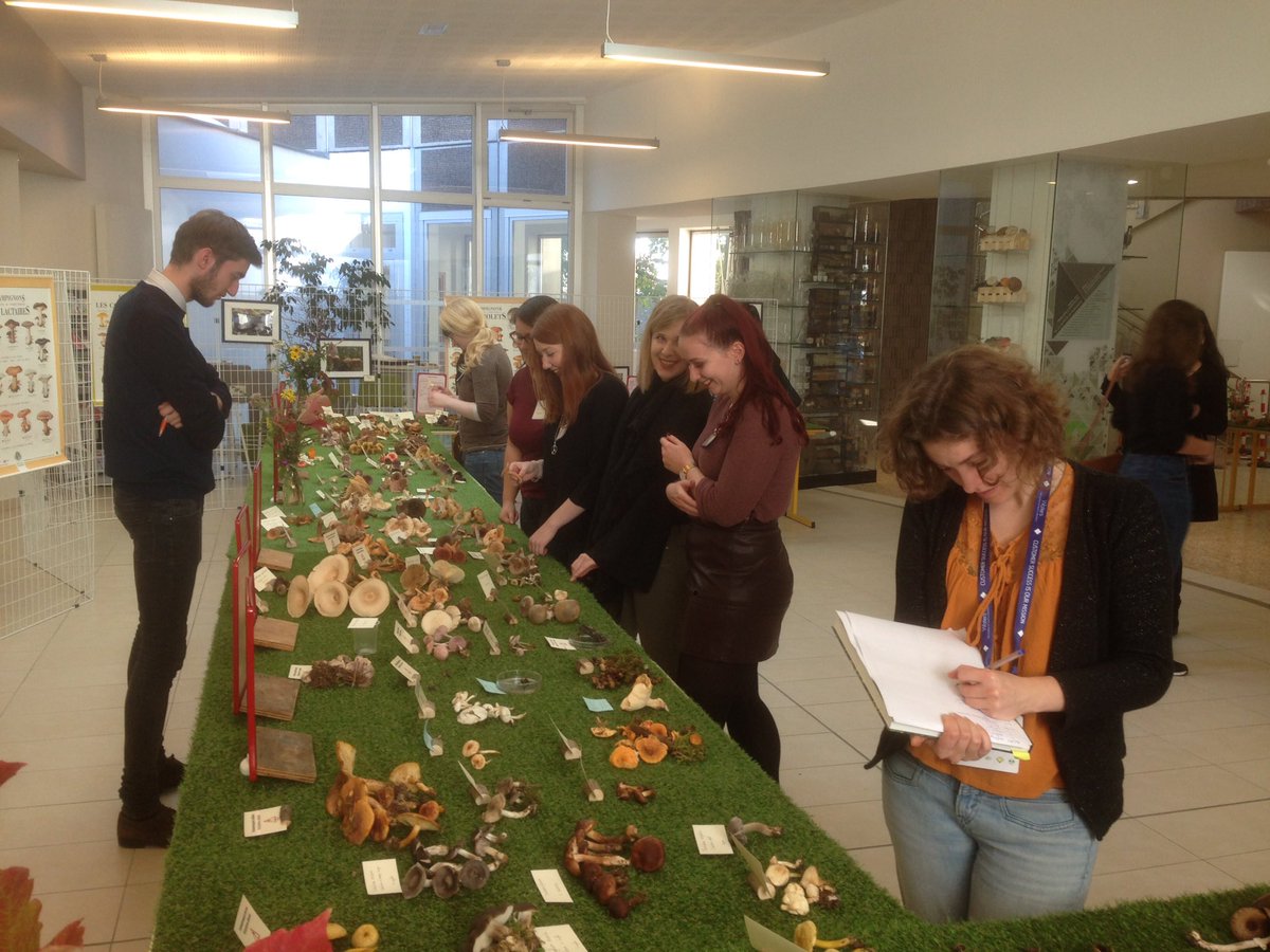 Gies_jp's tweet photo. Exposition champignons à la faculte de Pharmacie de l'université de Strasbourg@unistra@ https://t.co/B6VYuZ61pP