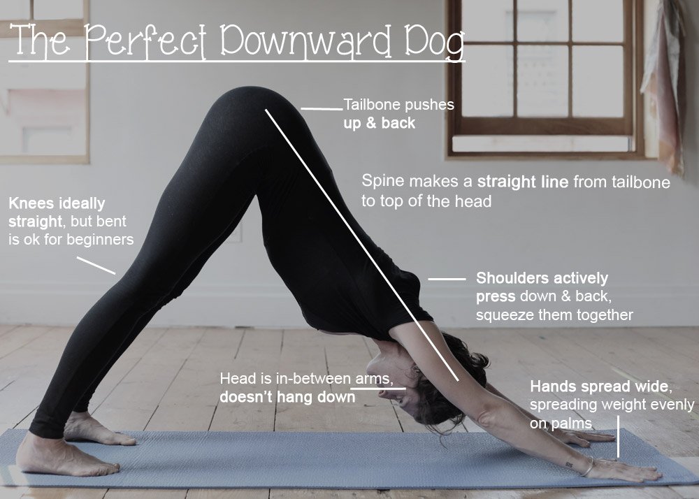 AHealthBlog tweet picture