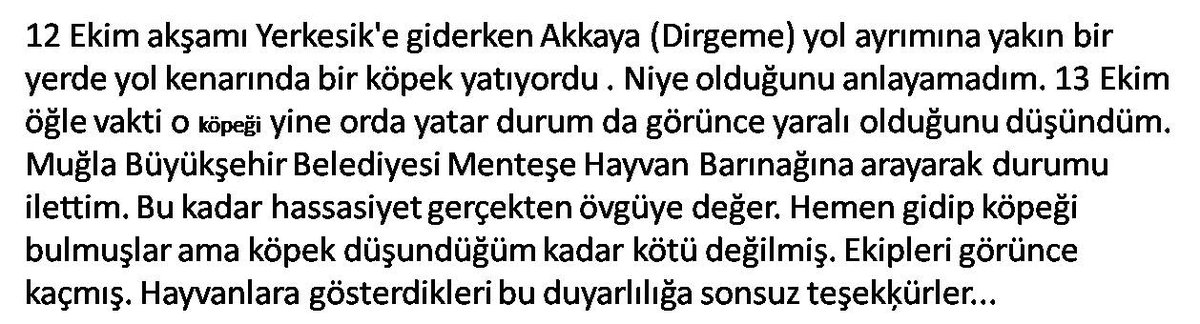 Alişan (@alisan57) on Twitter photo 