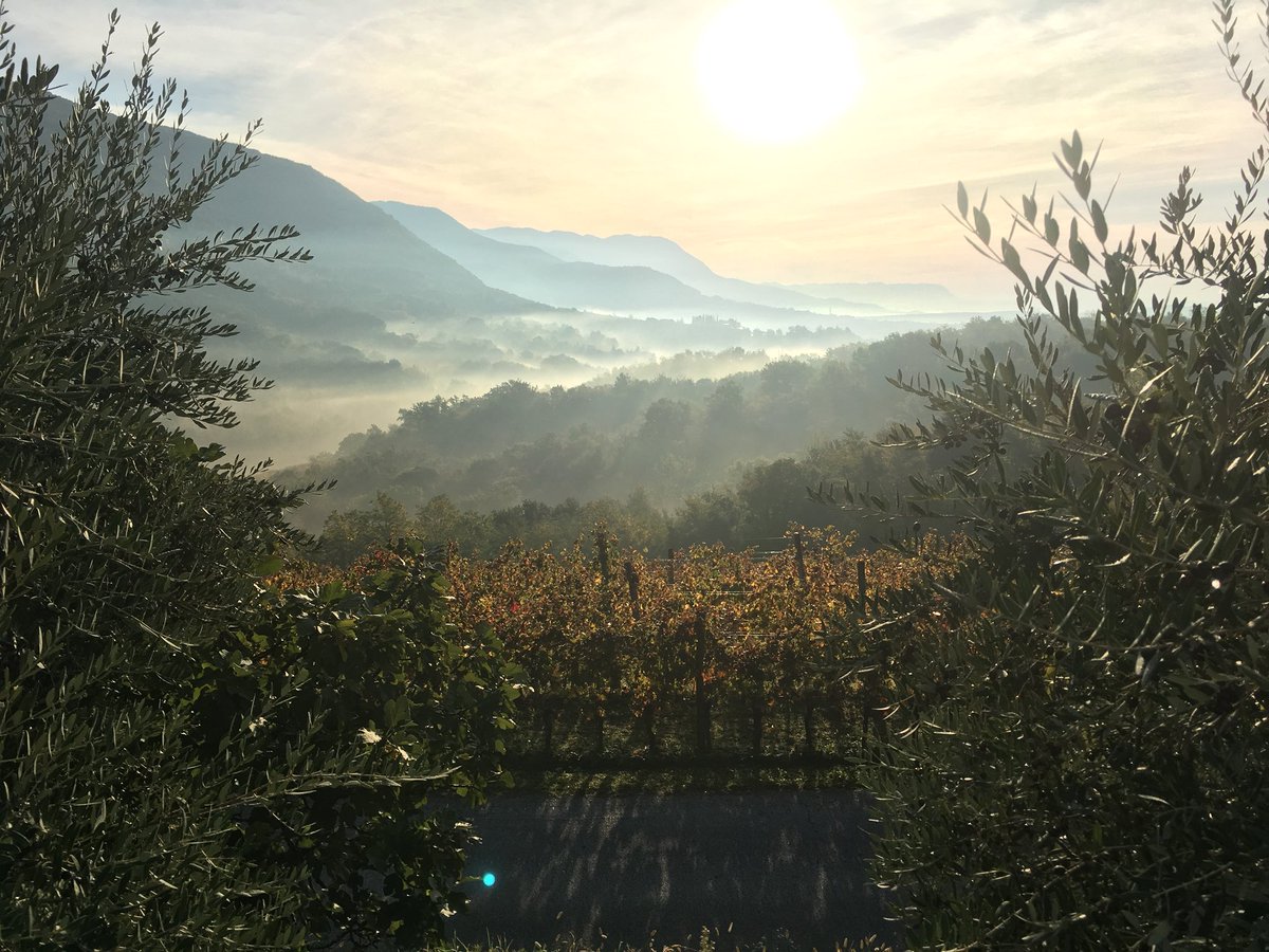 La magia di #Oslavia...