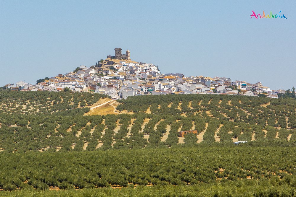 viveandalucia's tweet photo. La belleza de la Andalucía interior encuentra su perfecto reflejo en pueblos como Espejo, en #Córdoba. cc @CordobaESP #viveandalucía https://t.co/tk1zwAHJcG