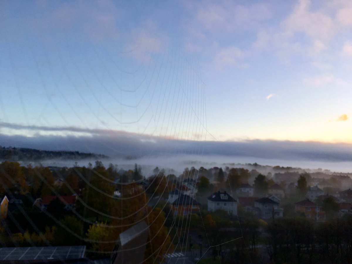 Meteorologene tweet picture