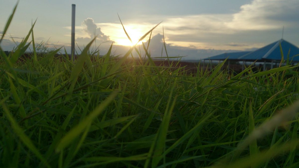 rvkoushik's tweet image. Hope for the Future... #ExecuteSmart