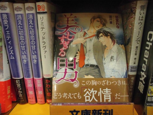 アニメイトイオンレイクタウン 短縮営業中 書籍フェア情報 ビーボーイ ダリア ノベルフェア17 開催中レイ ダリア文庫新刊 美しすぎる男 が発売中レイ ダリア文庫新刊１冊とビーボーイノベルス1冊ご購入で アニメイト限定 オール書き下ろし