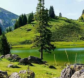 #nature.