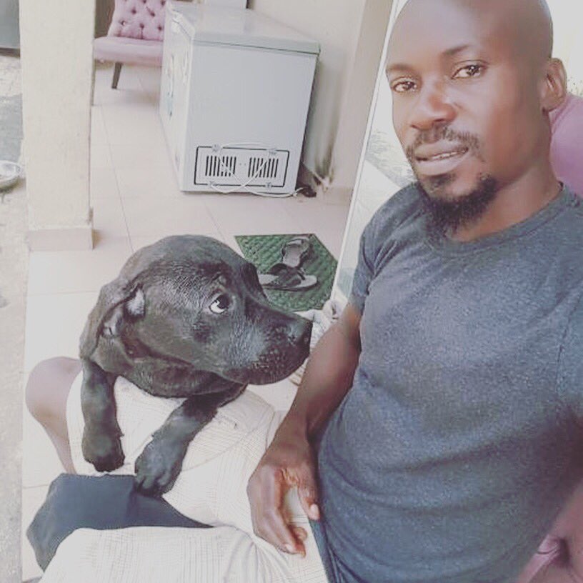DoublePawsLagos's tweet photo. Squad goals 🐶👌🏽
#dogs #doglovers #pets #doublepaws #doublepawslagos #canine #weconnectdoglovers #paws #fortheloveofdogs #dogwebsite https://t.co/DEDA6FFlAc
