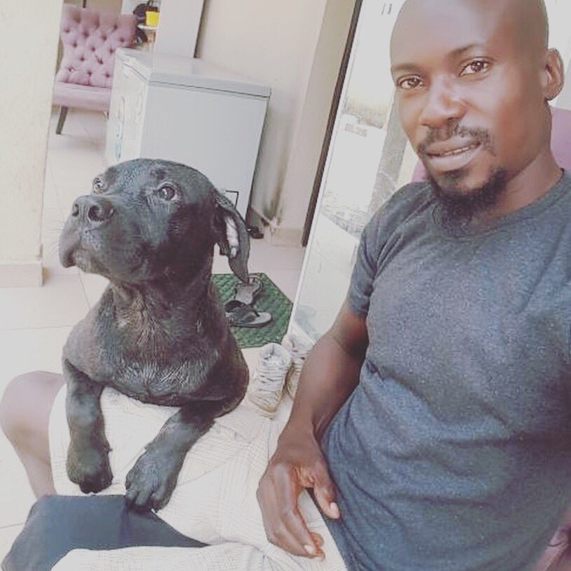 DoublePawsLagos's tweet photo. Squad goals 🐶👌🏽
#dogs #doglovers #pets #doublepaws #doublepawslagos #canine #weconnectdoglovers #paws #fortheloveofdogs #dogwebsite https://t.co/DEDA6FFlAc