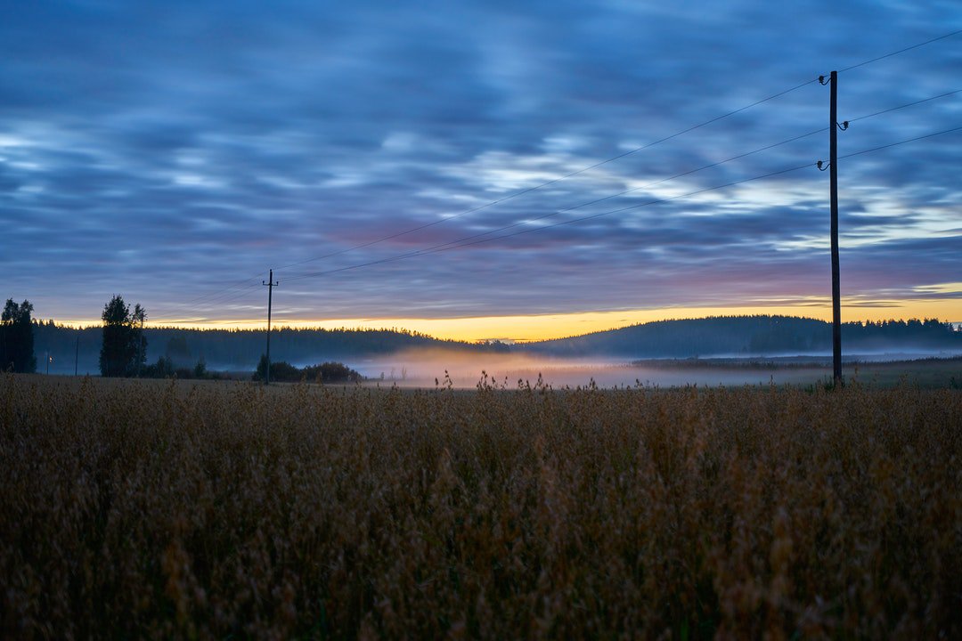 sunideamusic's tweet photo. Photo By Tommi Saltiola | Unsplash 
 #agriculture #farming https://t.co/hHuoiWBiFD
