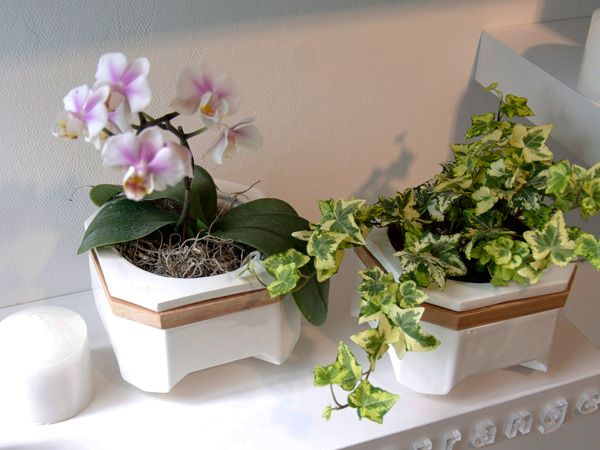smartdesignlab's tweet photo. Self-watering pot!
https://t.co/67jocQbOZ9 https://t.co/cBfhD8IHNA