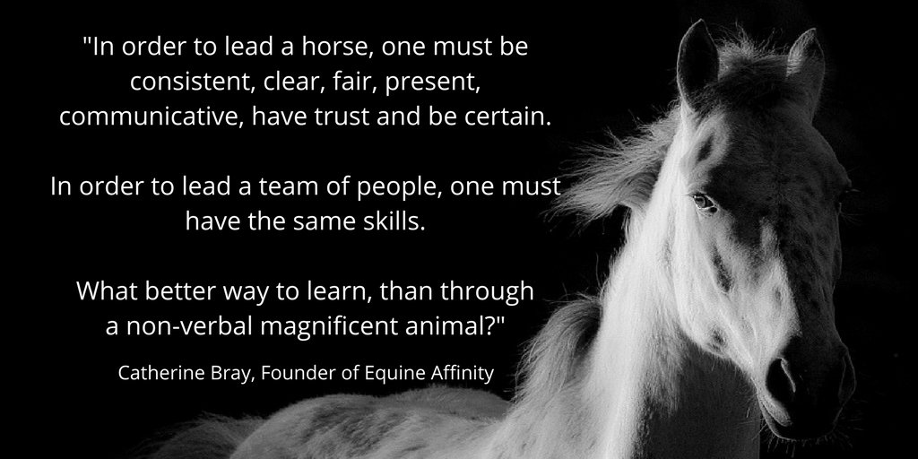 EquineAffinity's tweet image. Step out of the classroom &amp;amp; discover how #horses can develop your #leadership skills in a fresh way #LeadWithInsight bit.ly/2gwaG8O