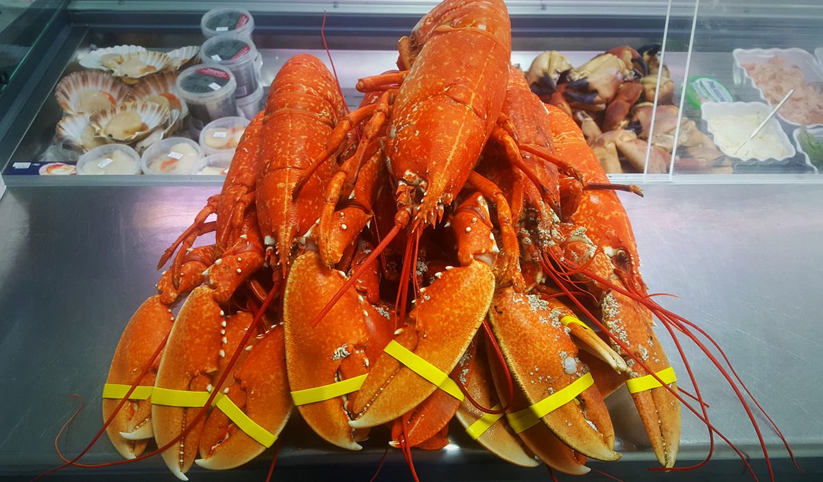 Isle of Barra Distillers Co. tweet media