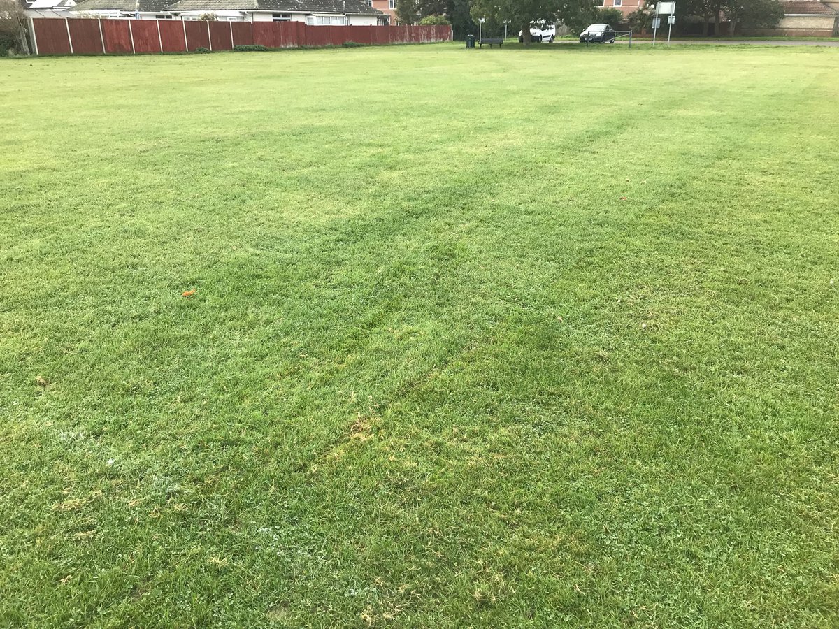 andywarner88's tweet photo. 👏 @HavantBorough - you’ve managed to ruin another pitch! Better no job than half a job! Cut Mengham Park properly! @savegrassroots https://t.co/WJS5dRkJ8C