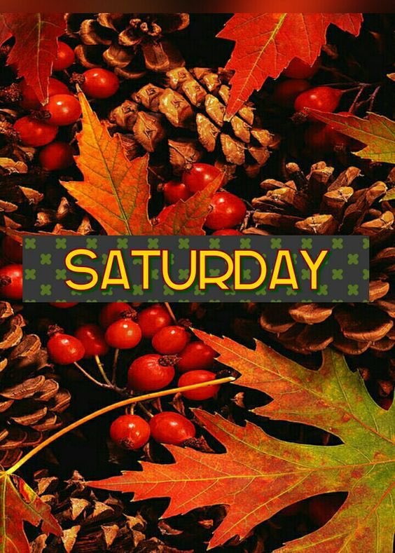 StanwaysMold's tweet photo. Happy Saturday!! If you are out and about this weekend and need a taxi then please ring on 01352756669 #NorthWalesTweets https://t.co/xYMUwWcesH