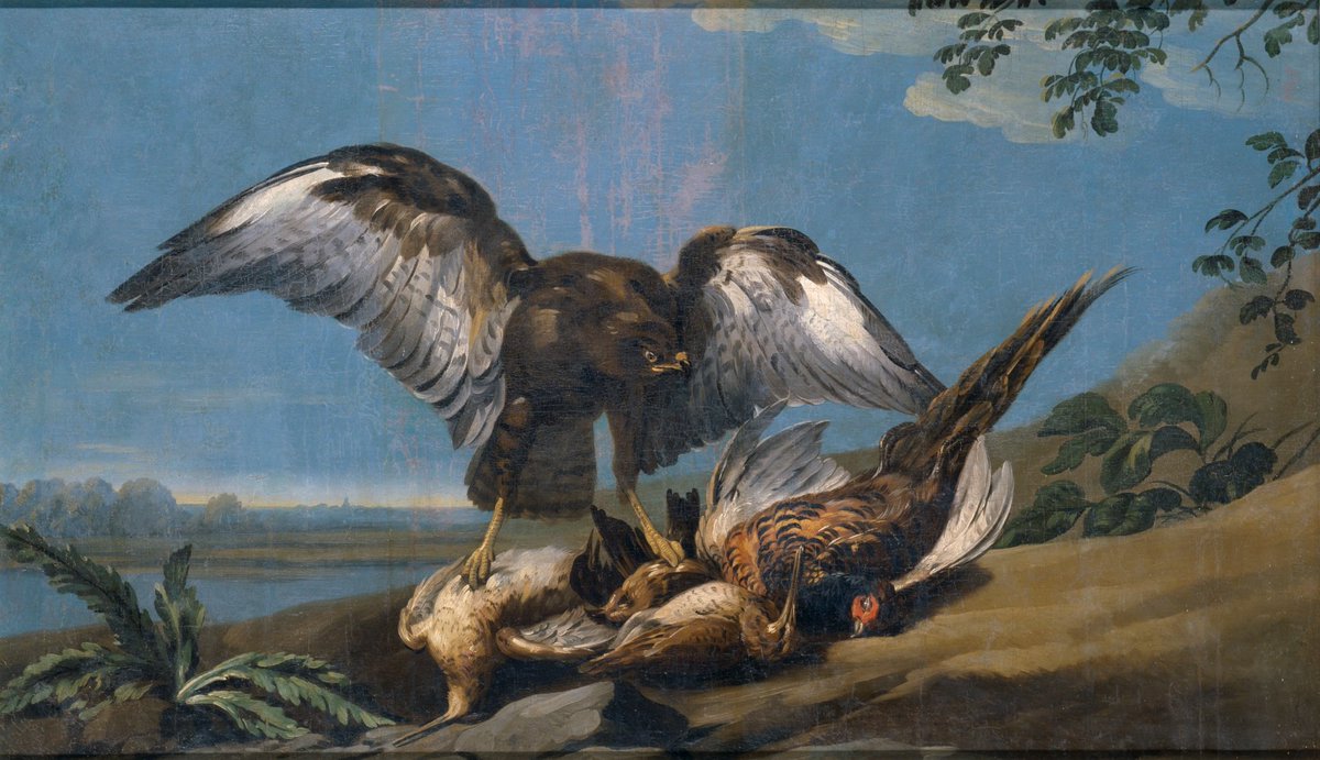 Mariadecuenca's tweet photo. "Milano con un grupo de aves muertas" se puede admirar en el @museodelprado #JoseDelCastillo https://t.co/Juc8grykJP
