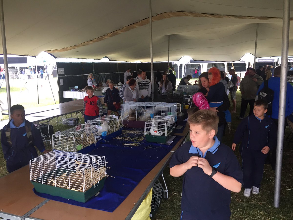 grootplaasproe's tweet photo. #RabbitHub a buzz at #GrootPlaasproe! #Sandringham #Stellenbosch https://t.co/qtvODOR9c9