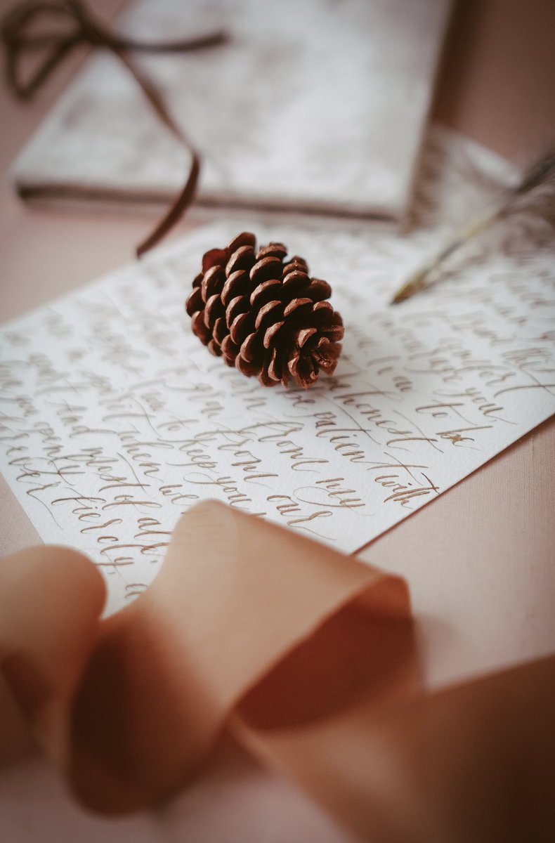 ClaireMagnolia's tweet photo. Hello, cute little pinecone! #vows #mood #fallweddings #rusticweddinginspo #rusticweddings #weddinginspo #vowstowow https://t.co/E5p9tkOpnk
