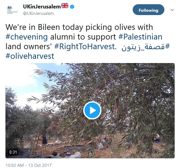 markcurtis30's tweet photo. Oh that’s nice, UK helping to pick olives in Palestine. 

While its high policy supports #Israel aggression and abuses. https://t.co/Men36H5D53