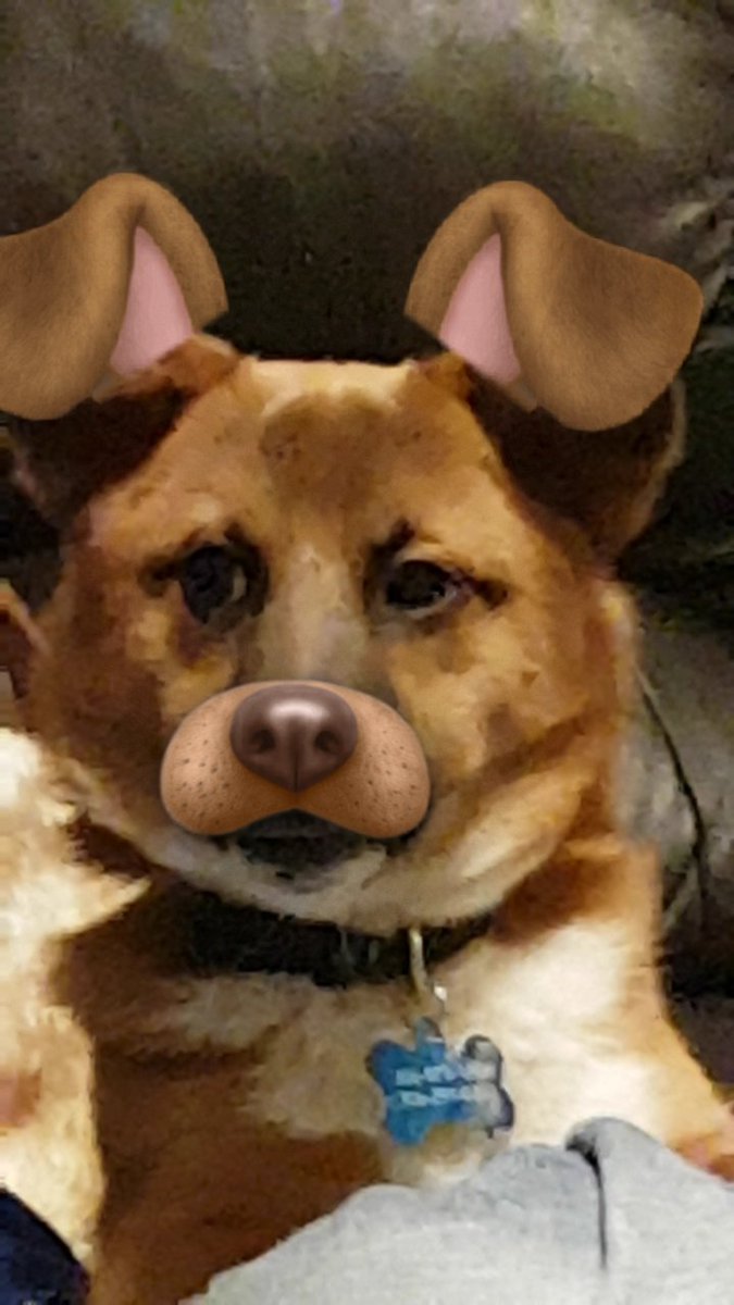 YTViewSniping's tweet photo. Our newest recruit. https://t.co/yb0tnCQCE4