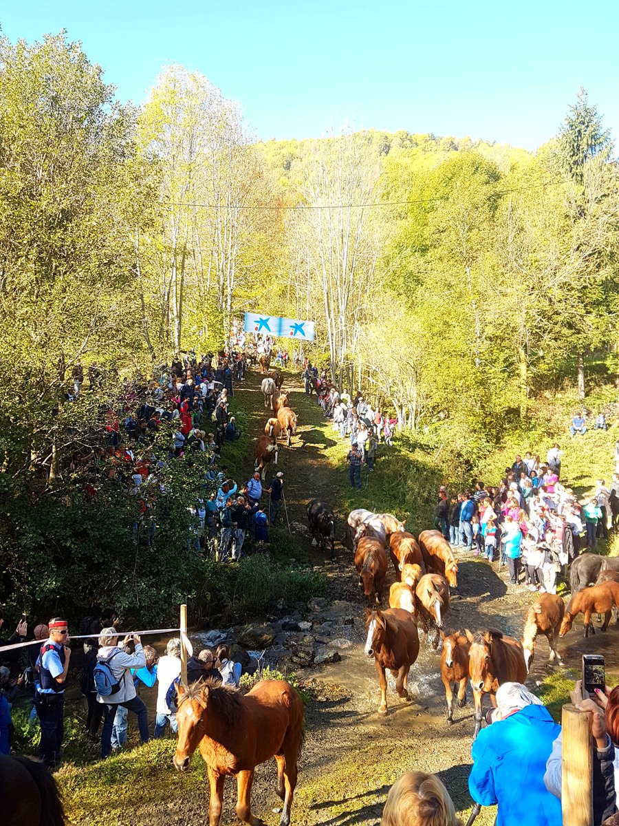 isaakbenito's tweet photo. Descobrint tradicions a #espinavell #triademulats amb molt bona companyia @batlle_neus @NuriaRamirezR + amics.Repetirem..caminant?🐎📸🔝 https://t.co/KHq7oRE0Hn