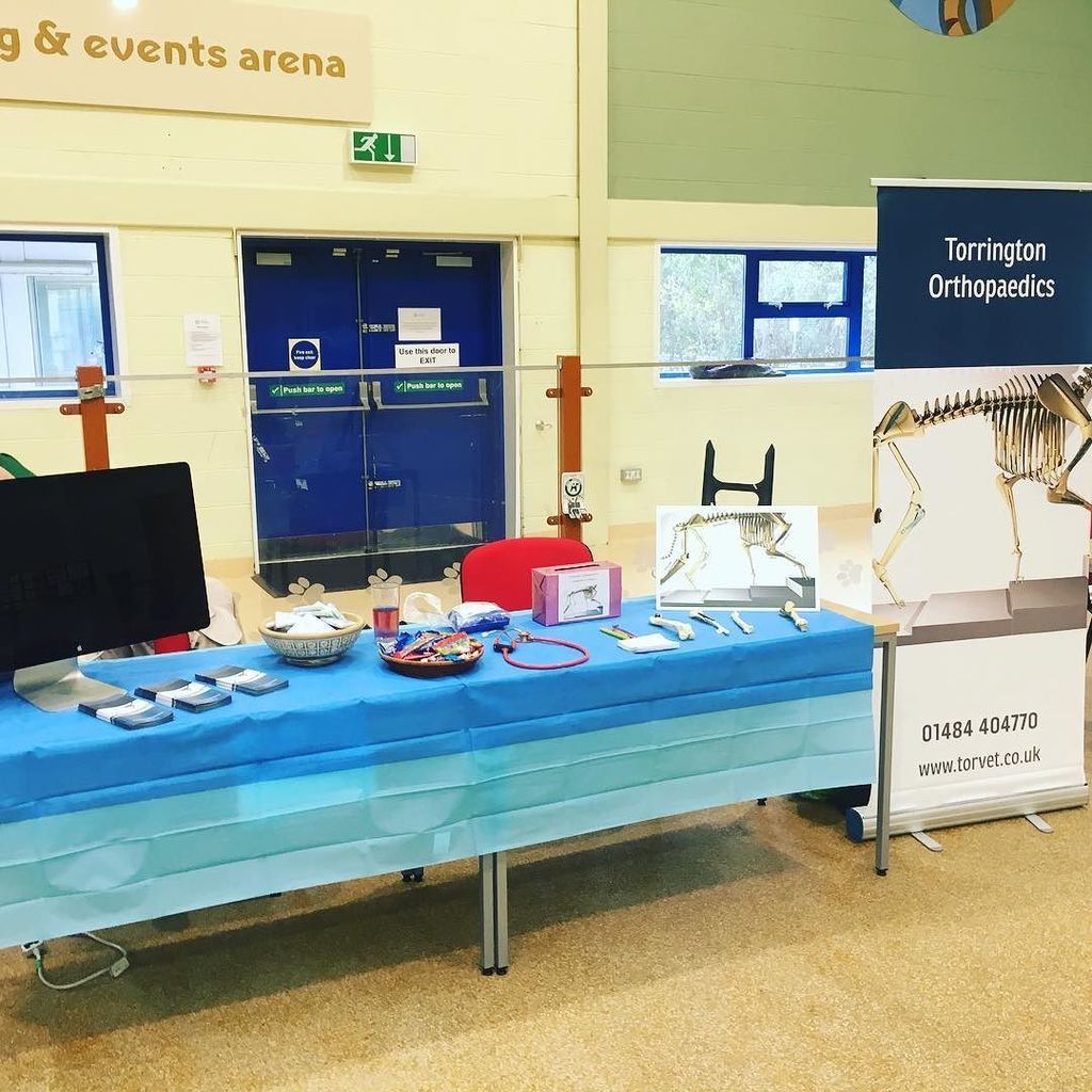 charlyerob's tweet photo. Ready and waiting to see many eager and enthusiastic faces today at The College of Animal Welfare #education #careerswithanimals #collegeof… https://t.co/cZ5m2VJIyq