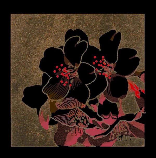 まだまだある植物?2枚目の桜の画像は加工してます。 