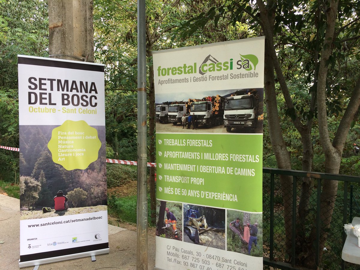 SetmanaBosc's tweet photo. Ara en el Pallarola mostra de treballs de bosc, esbrozades, aclarides, tallades d'arbres, #setmanabosc https://t.co/56IngMBc0t