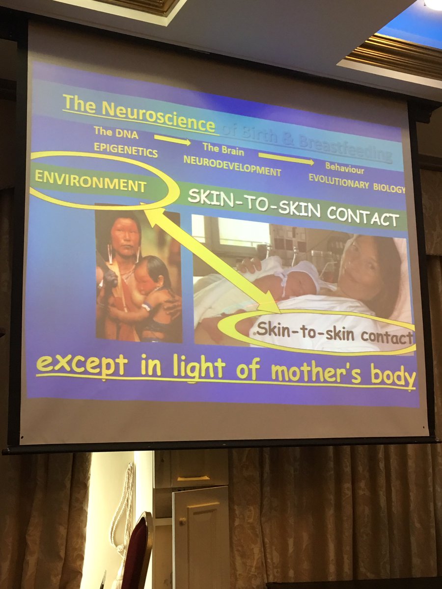 DilW's tweet image. Listening to Dr. Nills Bergman is one of the worlds leading experts on the benefits of #SkinToSkin - fascinating! #IPBC17