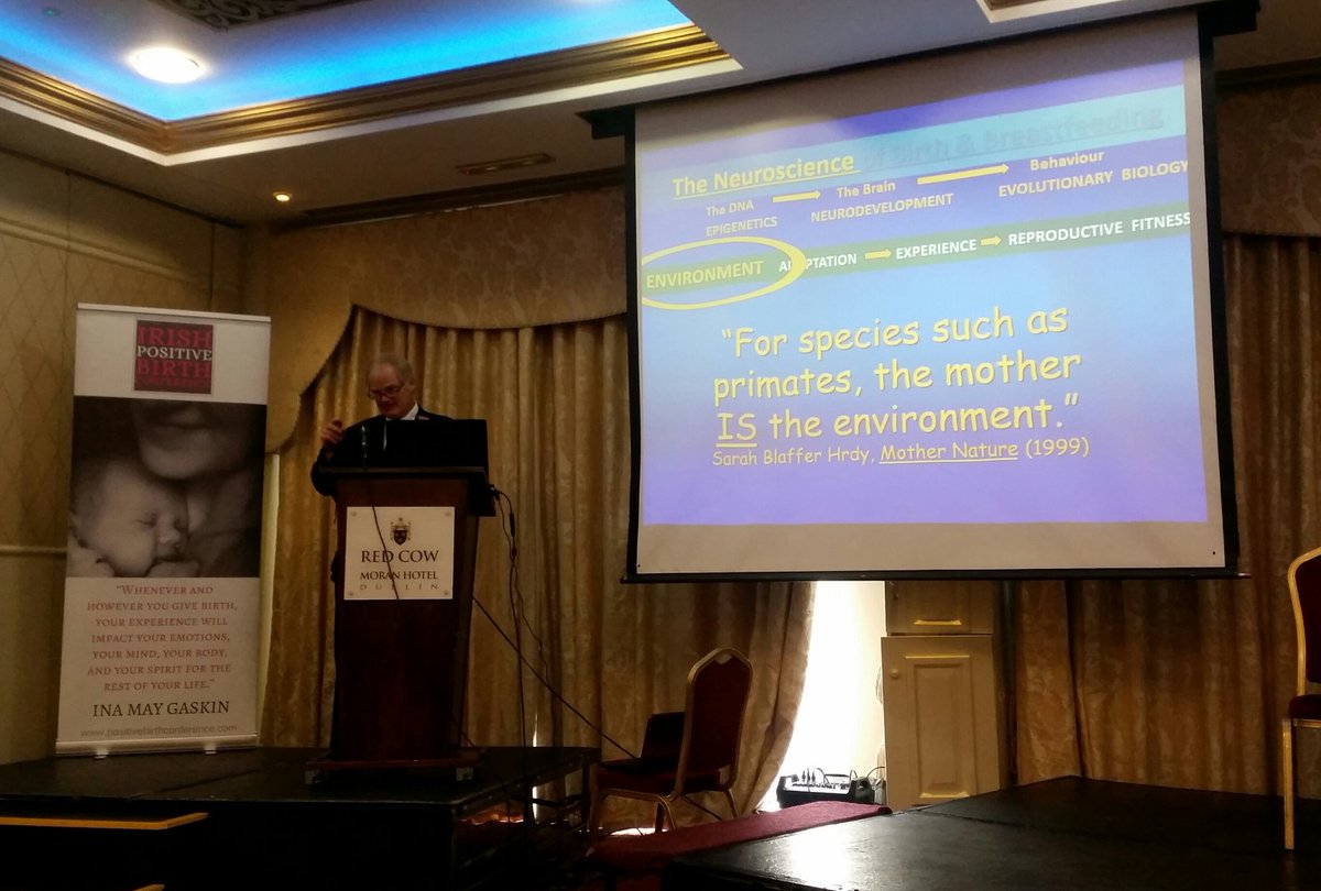 _strengthwithin's tweet image. Listening to the excellent #nilsbergman on the importance of skin-to-skin with newborns #IPBC17 #positivebirth #strengthwithin #skintoskin