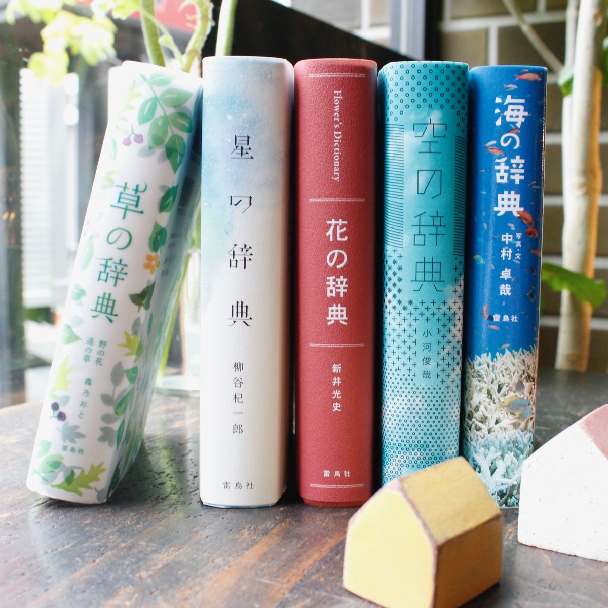 9/26-10/15 雷鳥社 手のひらの辞典フェア at 本とコーヒー】 手のひら 