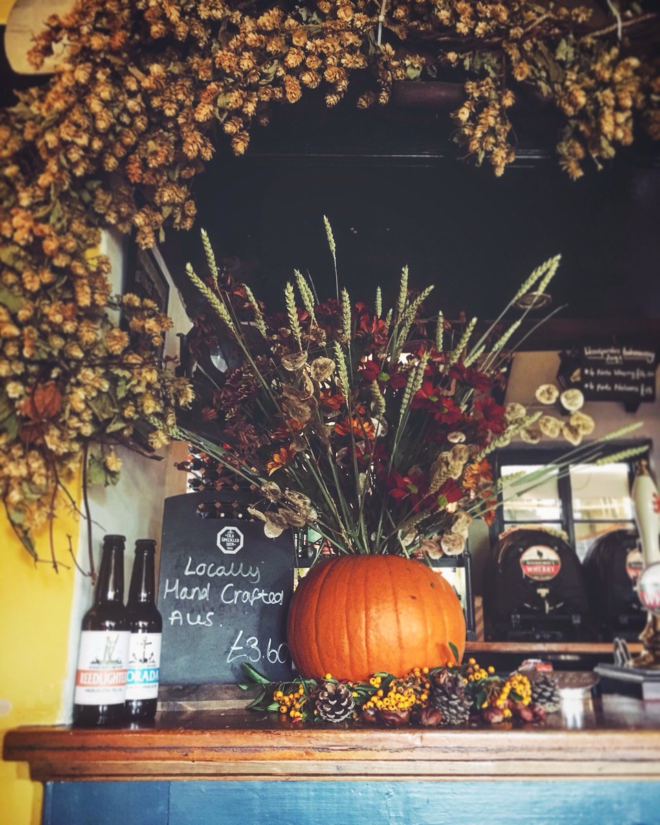 StiffkeyRedLion's tweet photo. Feeling festive and “Pumped” for Halloween!! 🍂🎃🍁 https://t.co/Vg4pbSGDvB