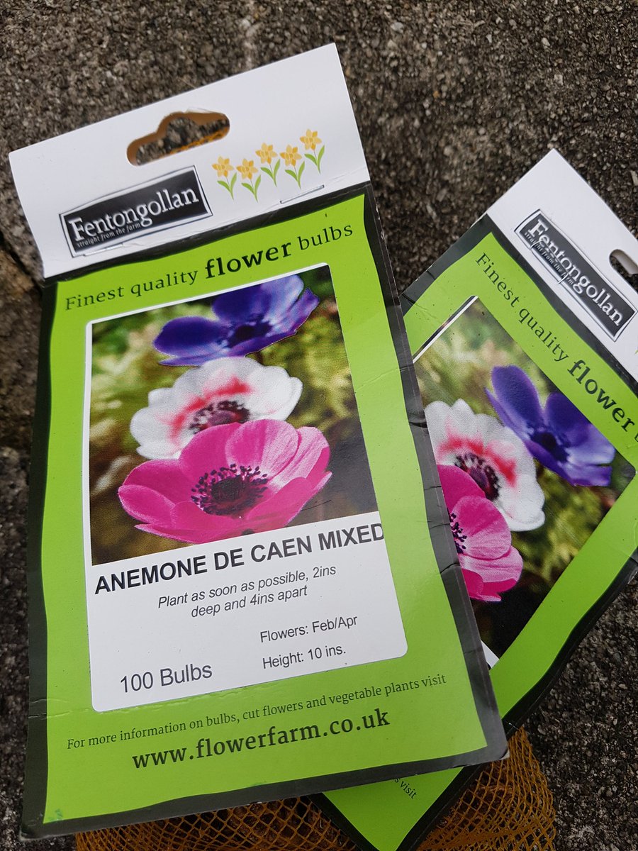 Truro in Bloom tweet media