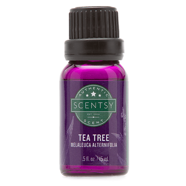CinfllyGdScents's tweet photo. #TeaTree #EssentialOIl https://t.co/Etdz7FHQLh Uses for Tea Tree Oil: https://t.co/38Z7a68idV #OilyLife #OilyLove https://t.co/LZMfFZdo7z